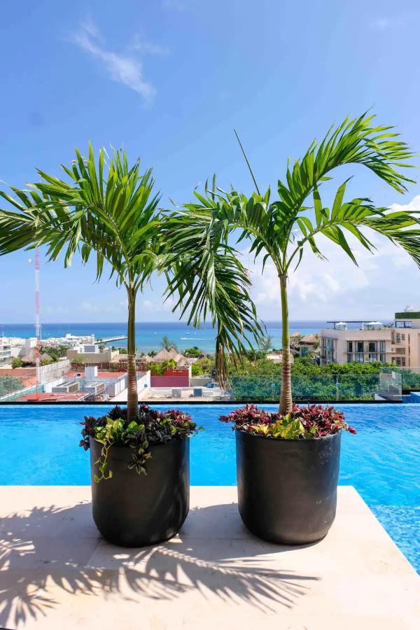Stayon5A.Av.Penthouse With Privatepool Freeparking Плая-дель-Кармен Экстерьер фото